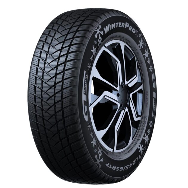 195/60R16 GT RADIAL WINTERPRO 2 (EVO) 89H Studless DBB70 3PMSF M+S